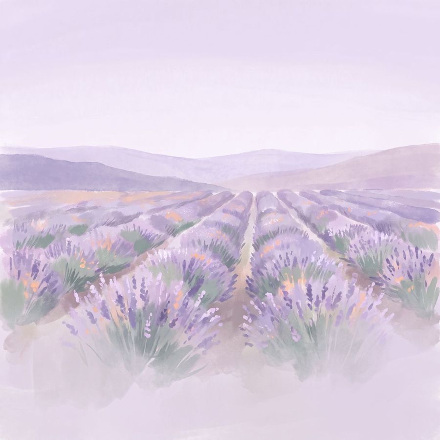 Rows of lavender running to the horizon, chapter 7 of the journey